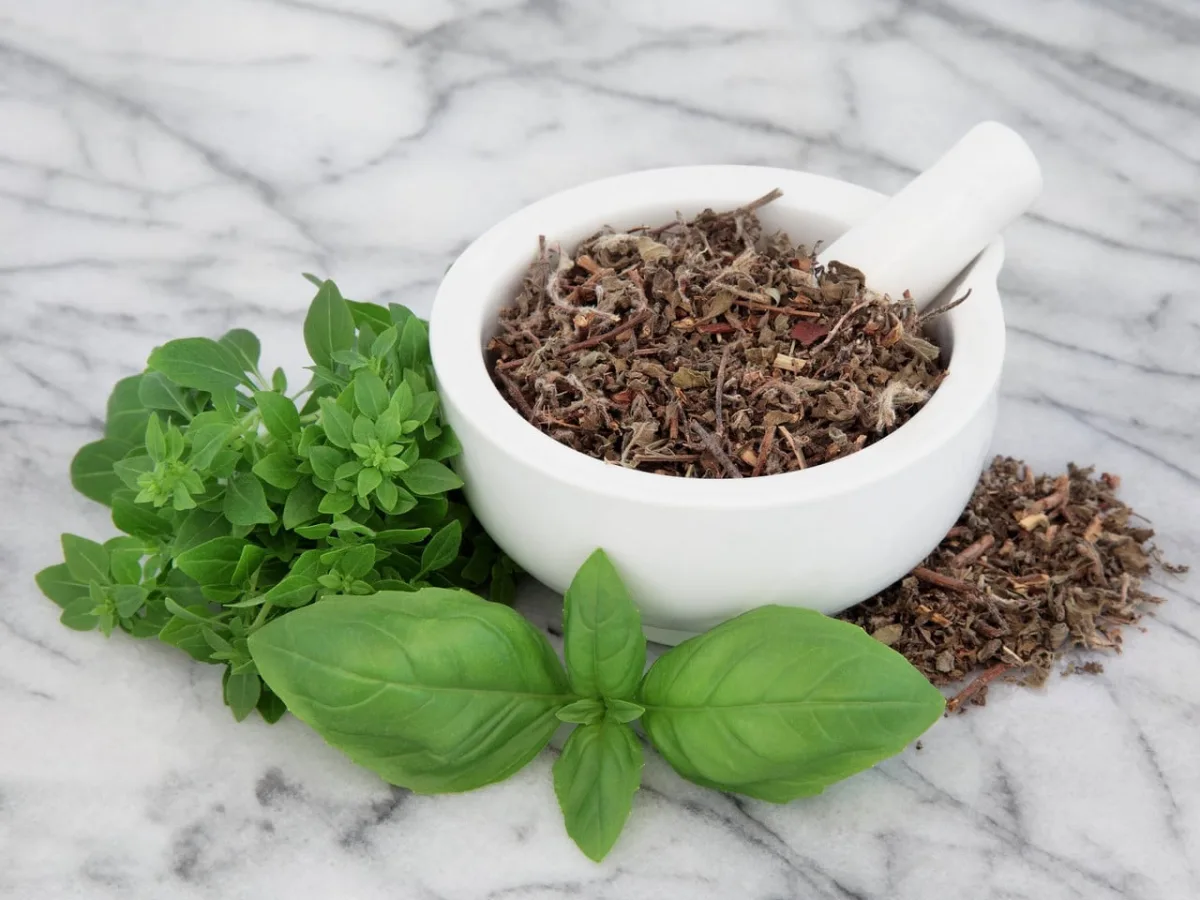 albahaca deshidr. 1ra calidad (100grs.)