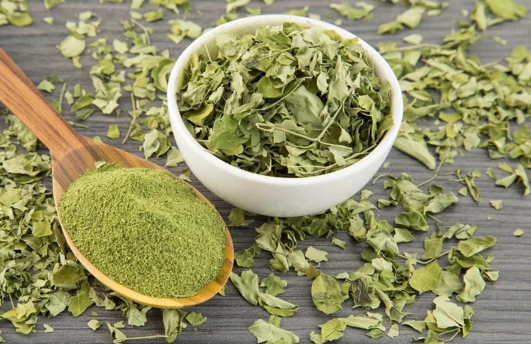 Moringa Hoja