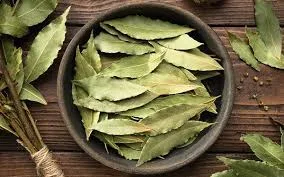 Laurel Agroecológico (20g)